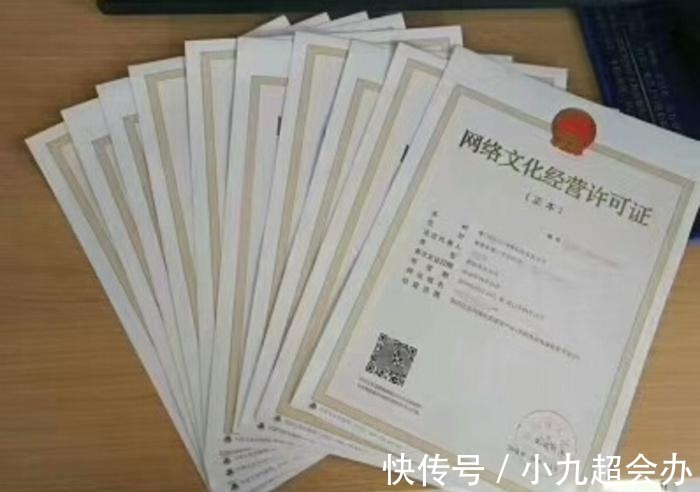 如何申请网络文化经营许可证 全面解析与步骤指引
